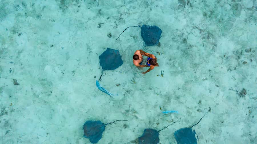 Bora Bora Luxury Tour and Beach Picnic - A motu picnic beneath Mount Otemanu