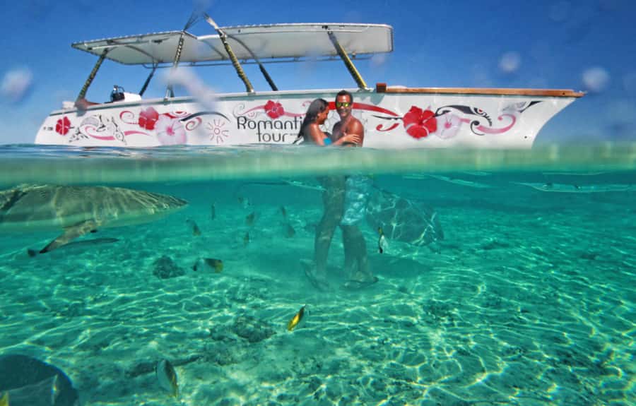 Bora Bora Luxury Tour and Beach Picnic - Who will enjoy this trip most
