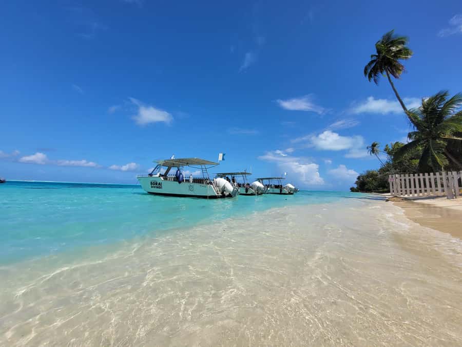 Bora Bora: Morning 2 tank dive for certified divers - What the 30-minute speedboat ride means