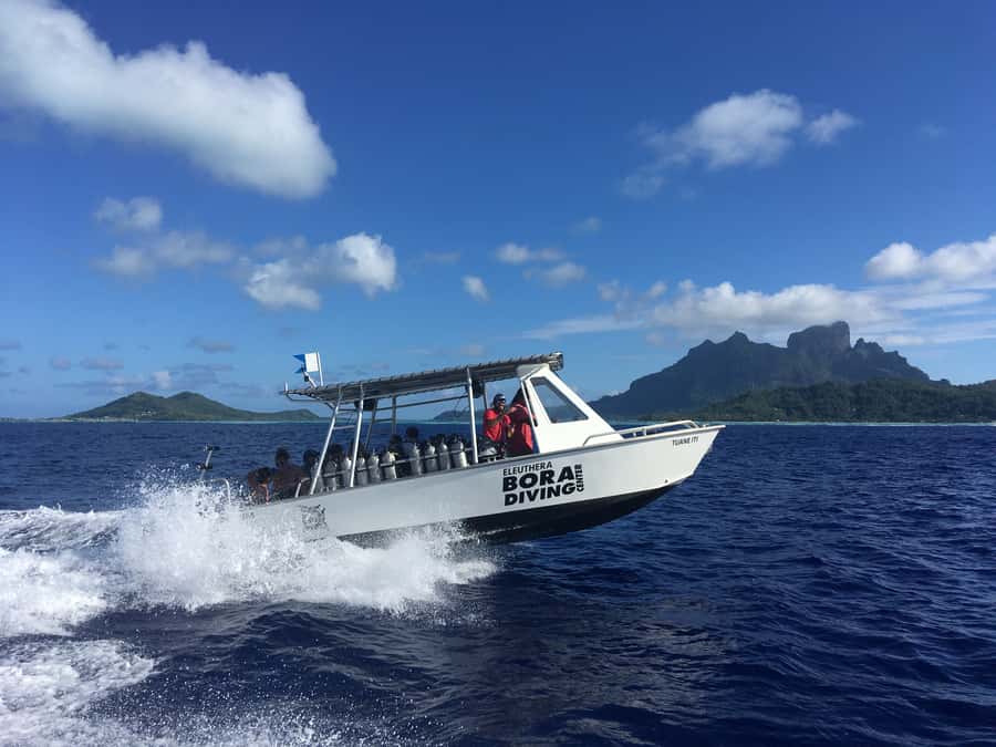 Bora Bora: Morning 2 tank dive for certified divers - Certification and flight restrictions