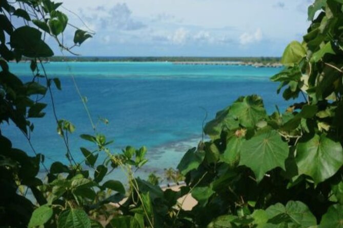 Bora Bora Off-Road Sightseeing Tour - Who should book this excursion?