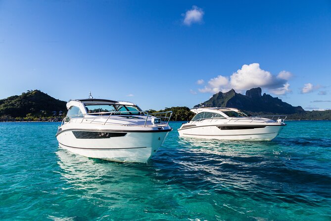 Bora Bora Private Arrival Airport to Hotels Boat Transfer - Who should book this private arrival?