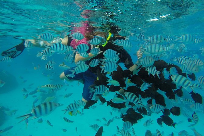 Bora Bora Private Lagoon Tours - Why a Private Lagoon Trip Makes Sense in Bora Bora