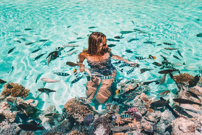 Bora Bora Snorkel Cruise by Polynesian Outrigger Canoe with BBQ Island Lunch - What the $296.49 price really buys you