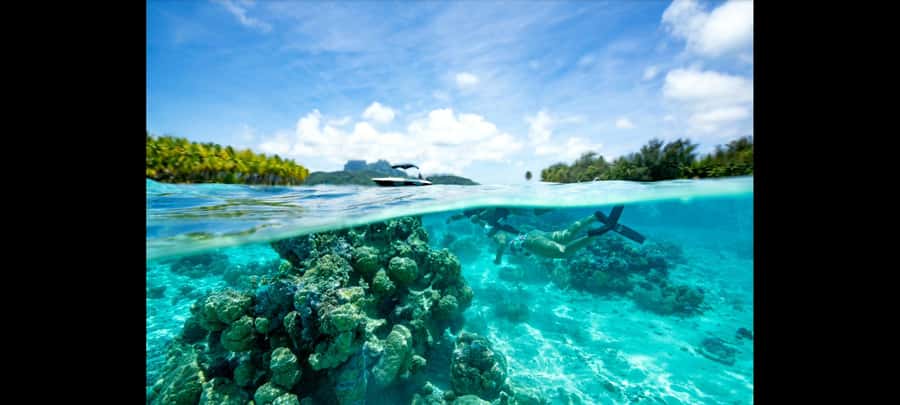 Bora Bora: Snorkeling and Fishing Tour with Lunch Option - Key points at a glance