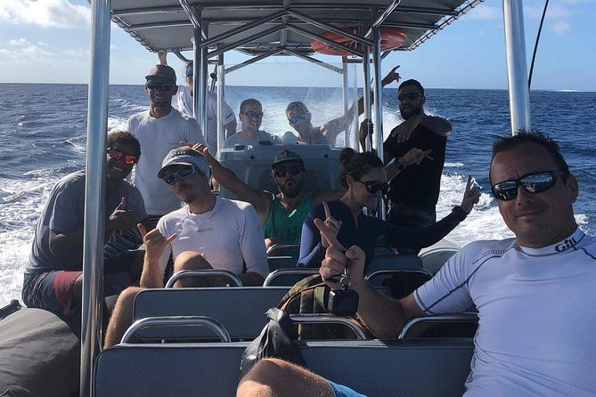 Bora Bora Whale Watching - The search itself, from departure to first sighting
