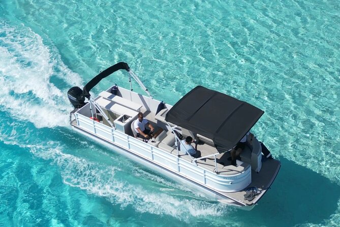Bora Bora Whale Watching - Why the $309.73 price needs careful thought