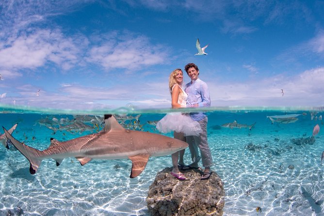 Combo Diving and Snorkeling Full Day Tour - Snorkeling options for non-divers and families