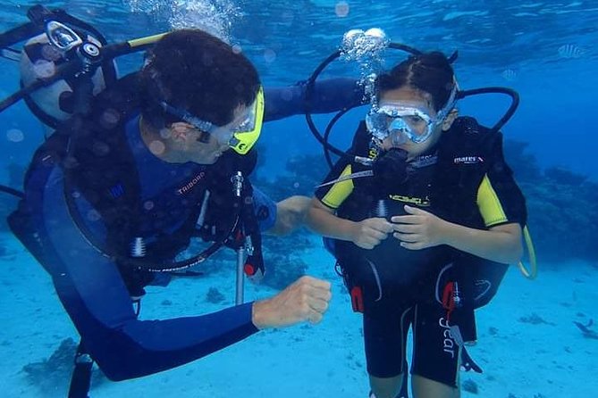 Combo Diving and Snorkeling Half-Day Tour - Key details before you book
