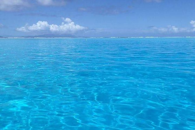 Combo Diving and Snorkeling Half-Day Tour - Two snorkeling stops after the scuba session