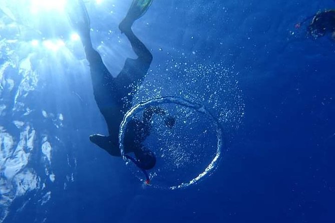 Combo Diving and Snorkeling Half-Day Tour - Who will enjoy this half-day outing most