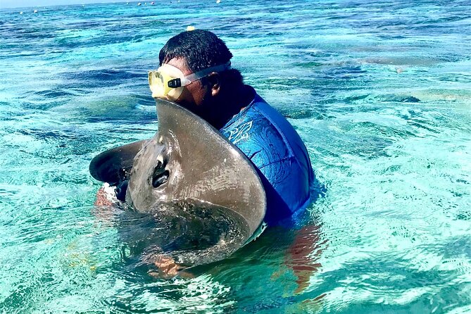 Combo Jet Ski Excursion + 4X4 Safari - The sharks-and-rays snorkeling stop