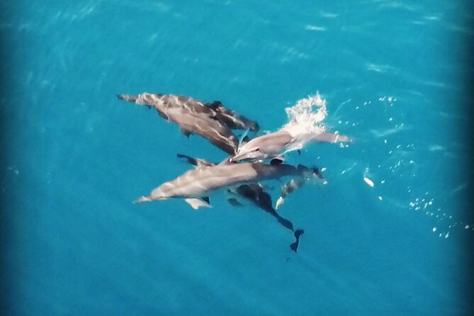 Combo Jet Ski Excursion + 4X4 Safari - The private Moorea Watersport jet ski excursion