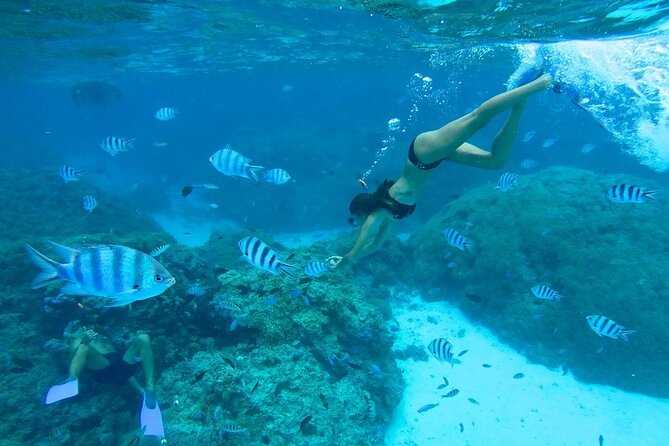 Combo snorkeling + motu lunch + jet ski group tour full day - The first water stop: stingrays in the lagoon