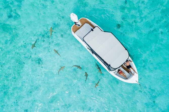 Crazy sea horse Private Sunset Tour in Bora Bora - The Sunset Is the Main Attraction