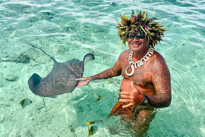 Crazyseahorseborabora Comfortable boat , sensational snorkeling . - Key points at a glance