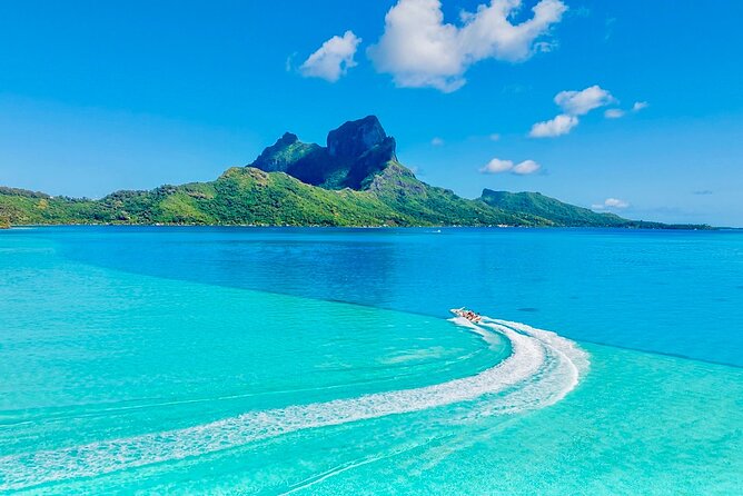 Crazyseahorseborabora Comfortable boat , sensational snorkeling . - Eagle Rays, Manta Rays, and Coral Gardens