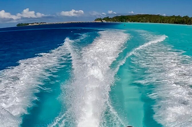 Crazyseahorseborabora Comfortable boat , sensational snorkeling . - Guides Mo and Tu Make the Difference