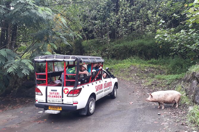 Crossing Island of Tahiti 4x4 Mountain, Waterfall, River, Basins - Why the $138 price can make sense