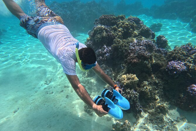 DEEP SEA FISHING 1/2 day (private group) - Learning Tahitian fishing methods from the crew