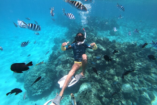 DEEP SEA FISHING 1/2 day (private group) - The boat ride and Tahiti’s mountain views