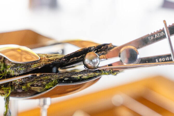 Discover the black pearl in Bora Bora - Why a black pearl belongs in your Bora Bora plans