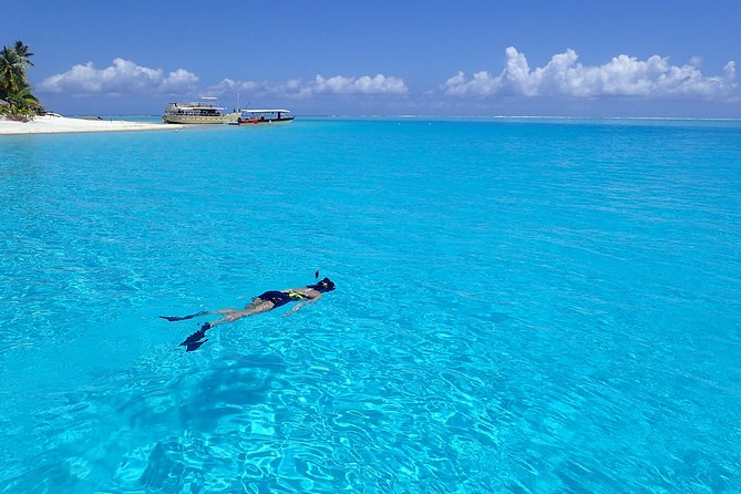 Discover the black pearl in Bora Bora - Choosing an oyster near the coral garden