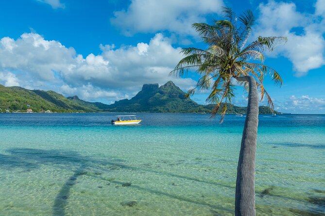 Discover the black pearl in Bora Bora - Fruit, drinks, and Mount Otemanu