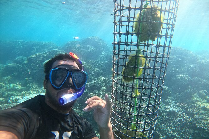 Discover the black pearl in Bora Bora - The guides make a real difference