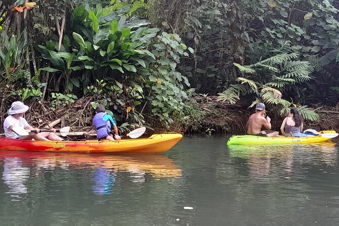Discovery in Kayaking of the Faaroa River in Raiatea - Key points to know before paddling