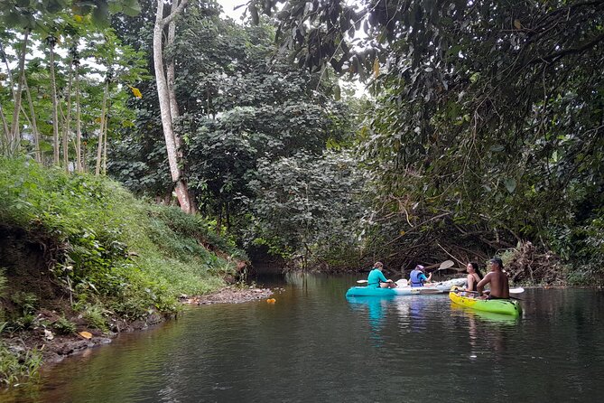 Discovery in Kayaking of the Faaroa River in Raiatea - What the guide adds to a quiet route