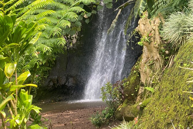 Discovery of Tahiti Nui Island - Key Details Before You Book