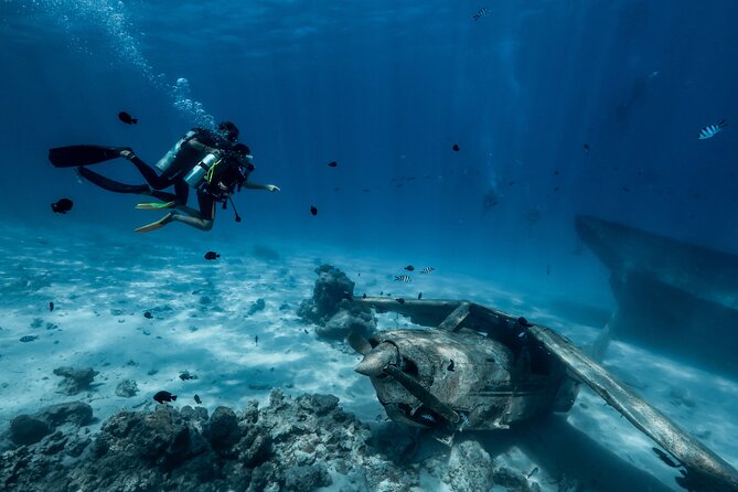 Diving initiation - Getting Comfortable Before Entering the Water