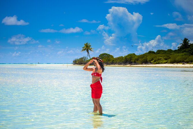 Domestic private transfer, arrival departure, airport hotel cruise rental - What the vehicle ride is really like