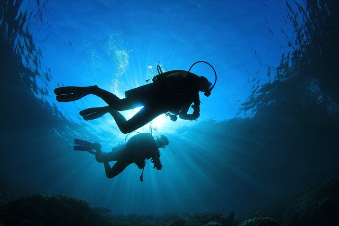 Double Diving Adventure Exploration for Certified Divers - Starting at the InterContinental Tahiti Resort
