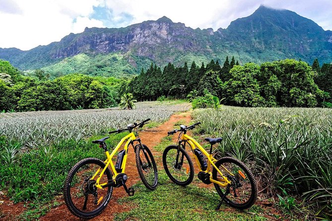 E-Bike Moorea Electric Bike Rental Moorea - Quick take: what makes this Moorea ride worthwhile