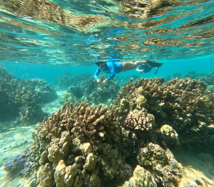 E-Board private tour of Moorea lagoon - Who should book this Moorea lagoon outing?