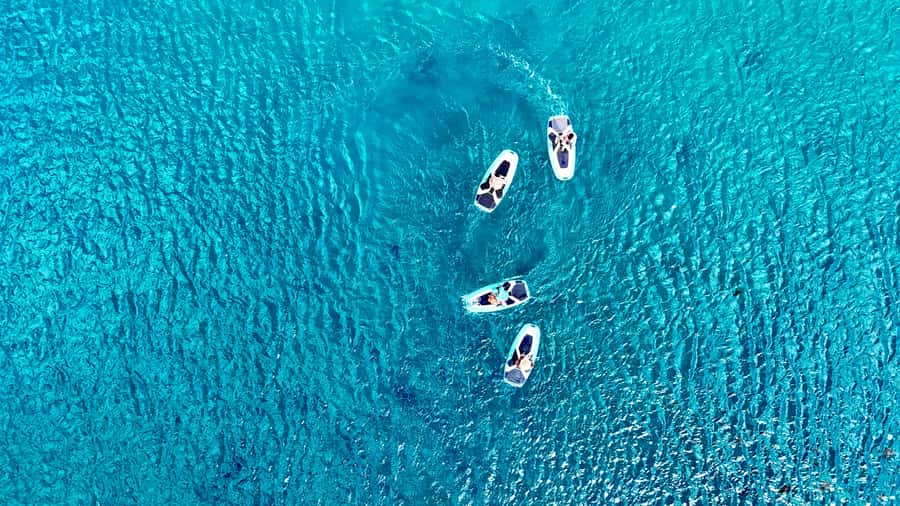 E-Board private tour of Moorea lagoon - Why an E-Board is a smart way to see Moorea’s lagoon