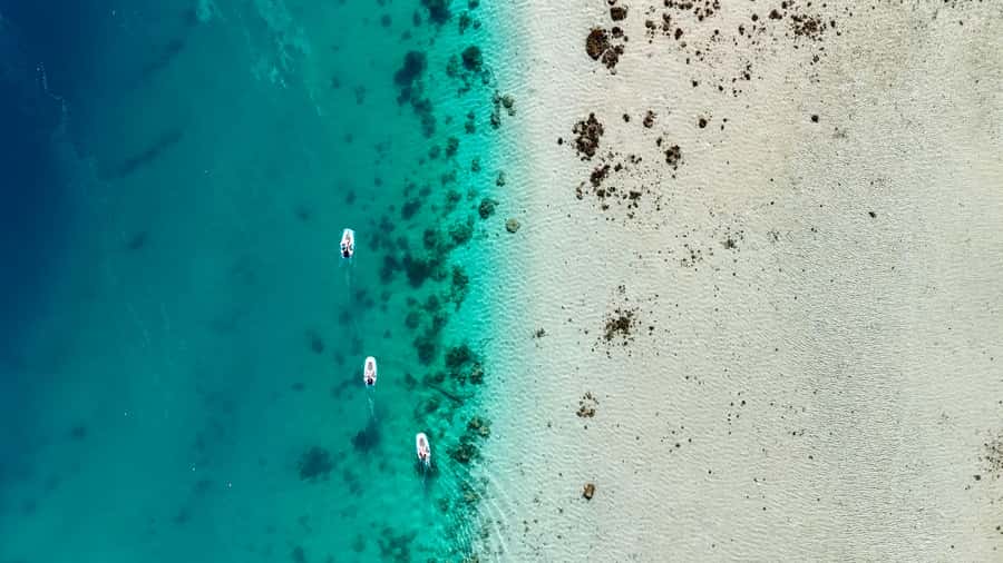 E-Board private tour of Moorea lagoon - Is $95 a fair price for two hours?