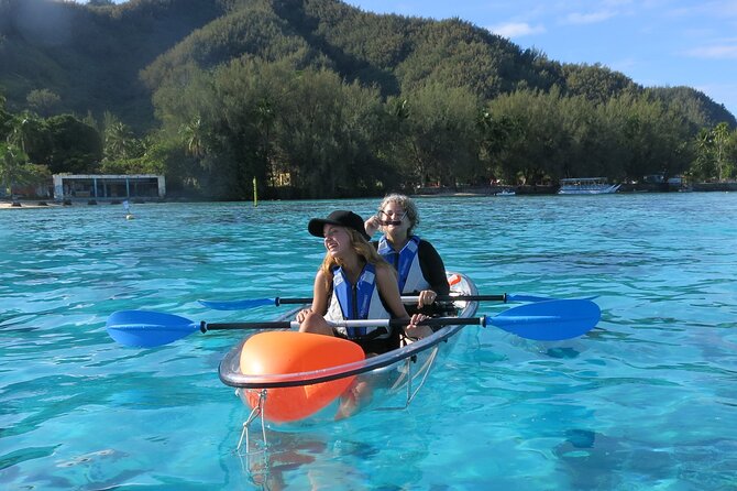 Eco guided excursion to the lagoon of Moorea in a transparent kayak Afternoon 2h - What the sightings can include