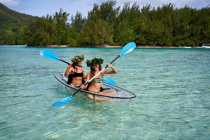Eco guided excursion to the lagoon of Moorea in transparent kayak 1/2 day morning - Quick points before you book