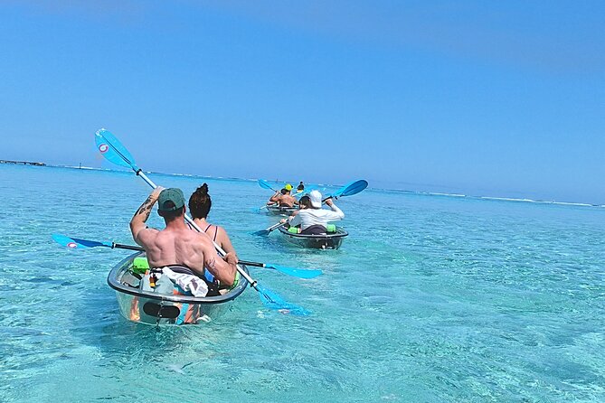 Eco Kayak Excursion in Moorea Lagoon for a Day - Looking for turtles, rays, and marine life below