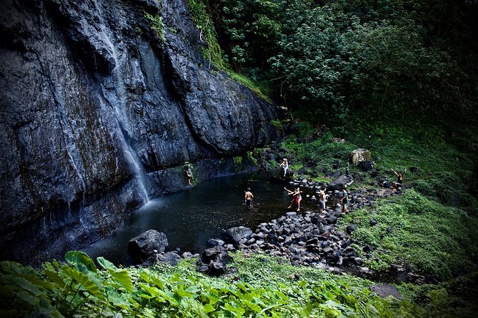 Enjoy Moorea Day Tour - Tropical Garden: plants, vanilla, and one point to inspect