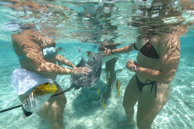 Exceptional Half day on the turquoise lagoon of Bora Bora - Meeting the lagoon from a comfortable boat