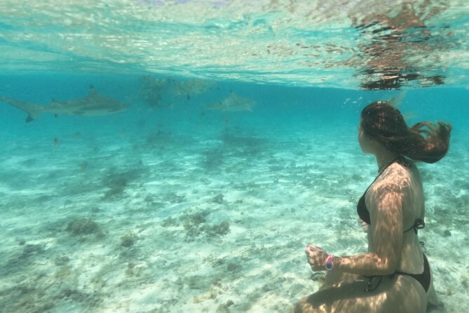 Exceptional Half day on the turquoise lagoon of Bora Bora - Who will get the most from this tour