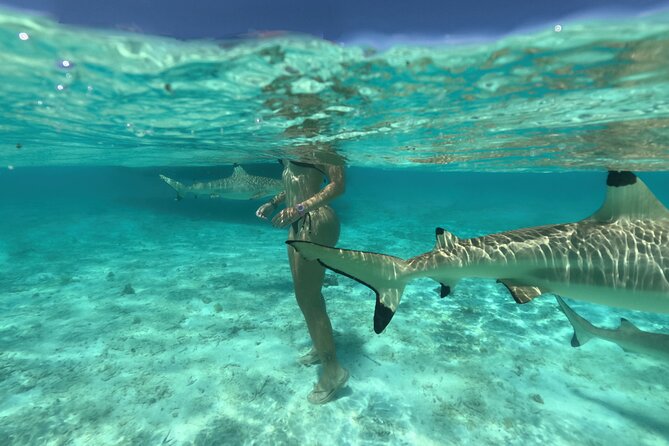 Exceptional Half day on the turquoise lagoon of Bora Bora - Practical details that affect your day