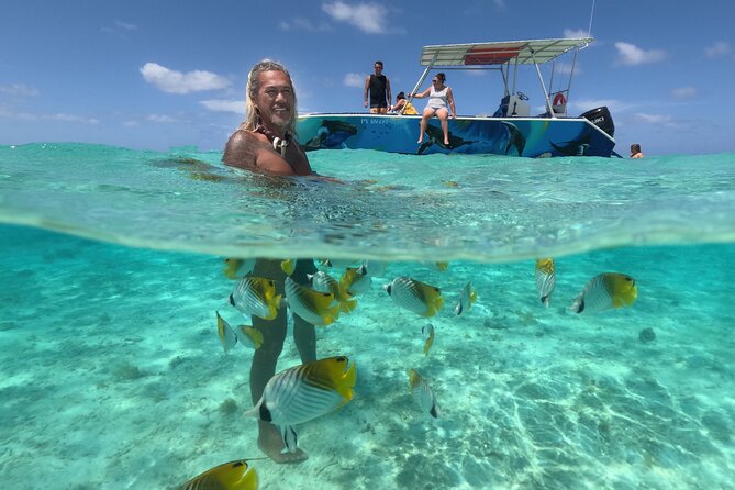 Exceptional Half day on the turquoise lagoon of Bora Bora - The Coral Garden: shallow water and easy viewing