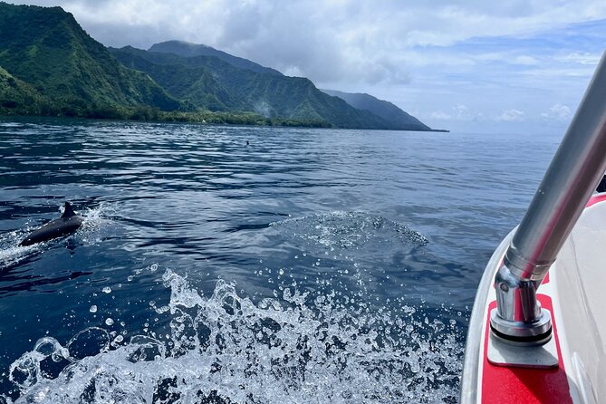 Excursion to discover the authentic Tahiti Peninsula 4:00 - A small boat with a personal feel
