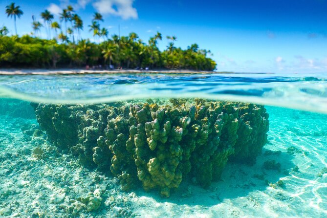 Excursion to Tetiaroa by Catamaran Visit Lunch Snorkeling - Key points to know before booking