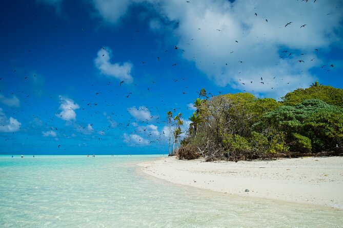 Excursion to Tetiaroa by Catamaran Visit Lunch Snorkeling - The ride back and the final punch